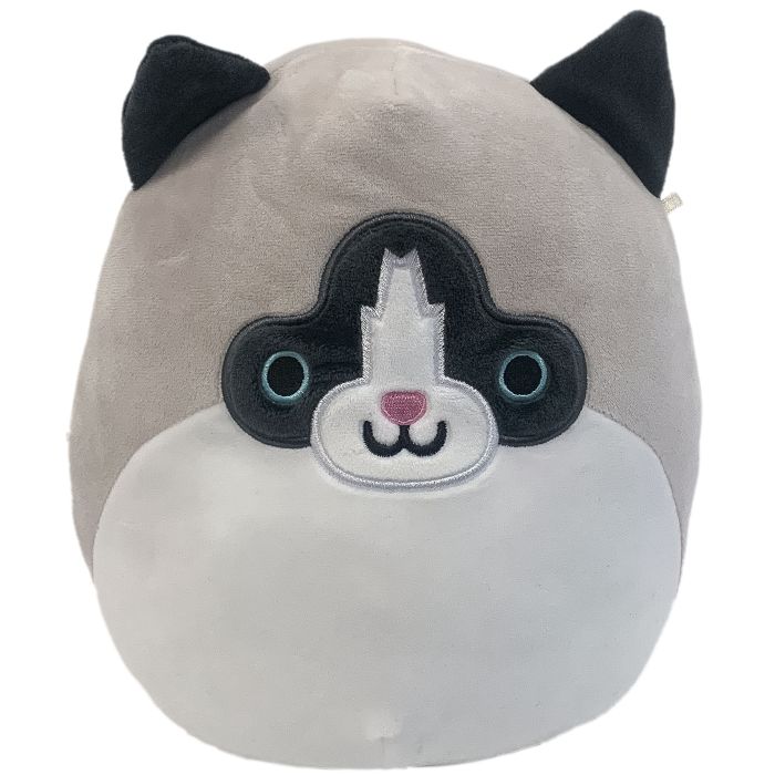 Squishmallow 8 Ragdollcat