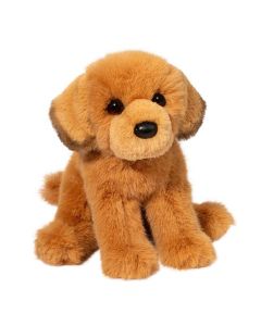 August Golden Retriever
