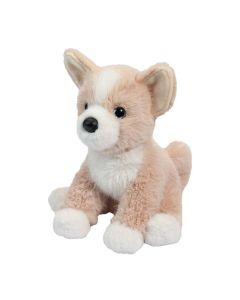 Pookie the Mini Soft Pomsky