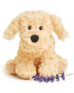 Golden Dog Warmie Junior
