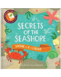 Shine-a-light Book~Secrets Of