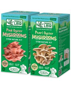 Oyster Mushroom Growing Kit<br>Includes ONE kit