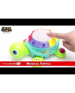 Music Turtle