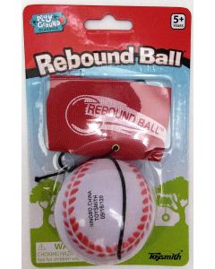  SPORTS REBOUND BALL