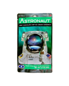 Astronaut Ice Cream Mint Chocolate Chip-3