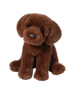 Zoom Chocolate Lab-1