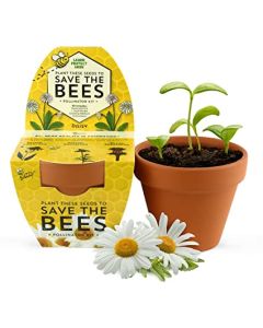 SAVE THE BEES GARDEN-1