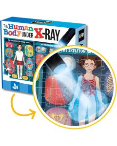 The Human Body Under X-Ray Puzzle-5