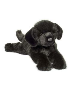 Jake DLux Black Lab-4