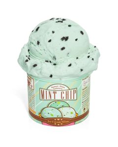 Kawaii Mint Chip Scented Ice Cream Pint Slime-3