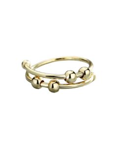 Gold Fidget Ring-1