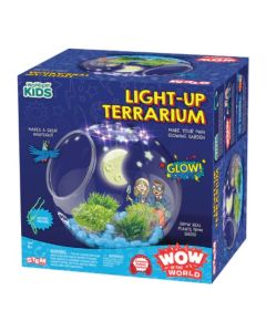 LIGHT-UP TERRARIUM-3
