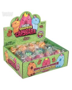 Squeezy Sugar Capybara Assortment-4