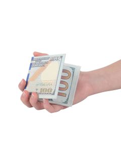 Big Spender Hundred Dollar Bill Wallet