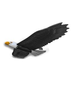 Real Flyer Eagle