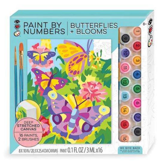 Paint By Numbers Butterflies and Blooms