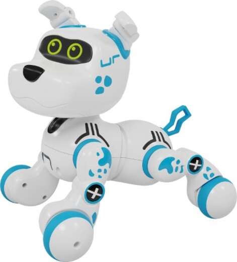 Crazy Pet Buddy Bot